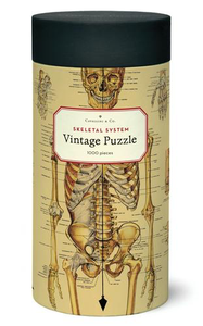 Vintage Jigsaw Puzzle: Skeletal System