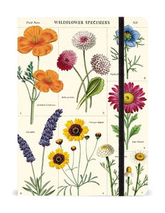 Wildflowers - Large Notebook