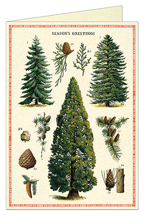 "Vintage Evergreens" Holiday Card