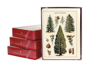 "Vintage Evergreens" Boxed Holiday Cards