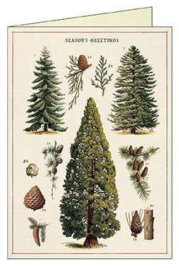 "Vintage Evergreens" Boxed Holiday Cards