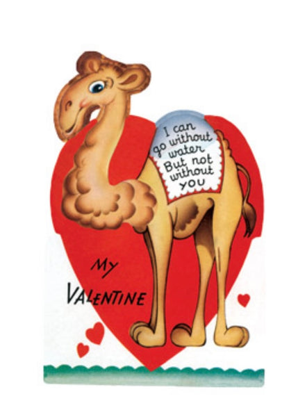 "Camel" Set of 15 Assorted Retro Valentines