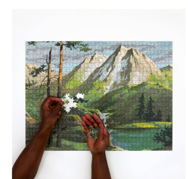 Paint By Numbers 1,000 piece Jigsaw Puzzle: "Mountains"