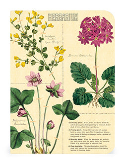 Herbarium - Set of Mini Notebooks