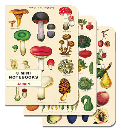 Jardin - Set of Mini Notebooks
