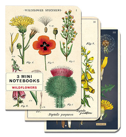 Wildflowers Set of Mini Notebooks