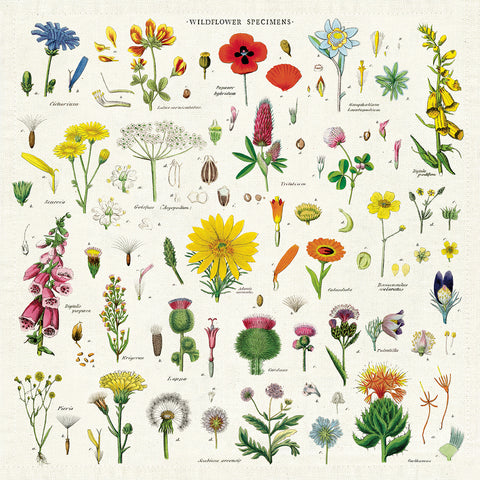 Wildflowers Vintage Napkins