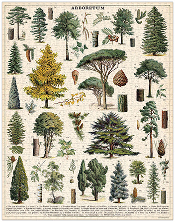 Vintage Jigsaw Puzzle: Arboretum