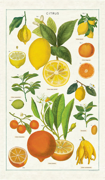 Citrus Tea Towel