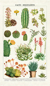 Succulents Tea Towel