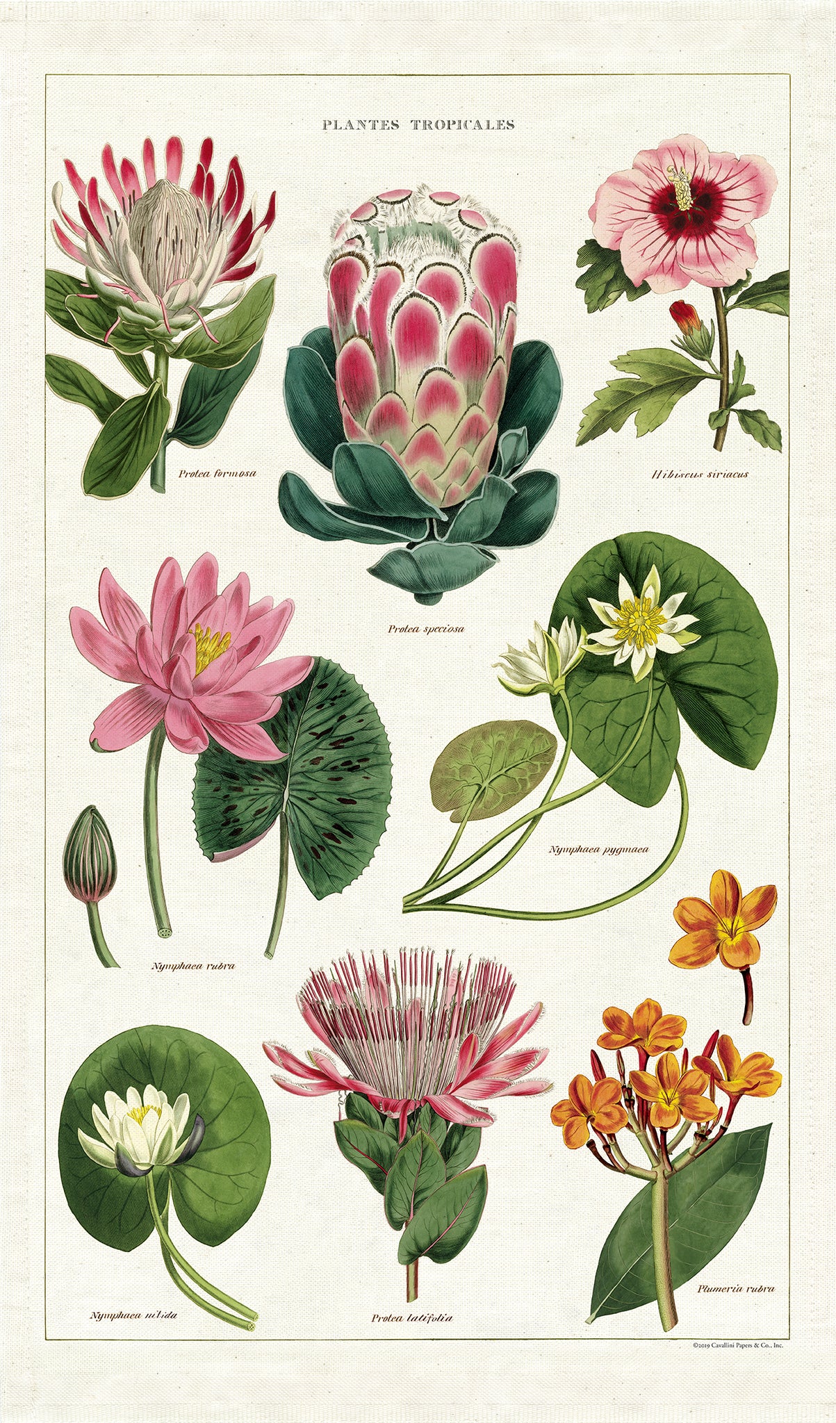 Tropical Tea Towel