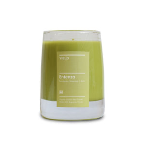 "Entenza" 8oz. Organic Coconut Wax Candle in Glass
