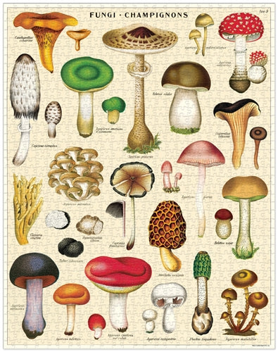 Vintage Jigsaw Puzzle: Mushrooms