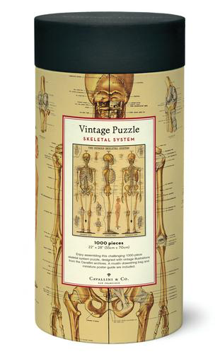 Vintage Jigsaw Puzzle: Skeletal System