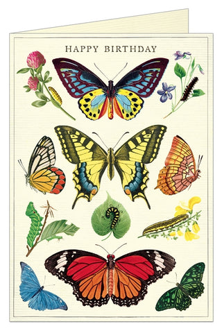 Butterflies Happy Birthday Card