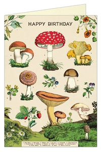 Mushroom Happy Birthday Card