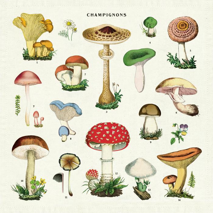 Mushrooms Vintage Napkins