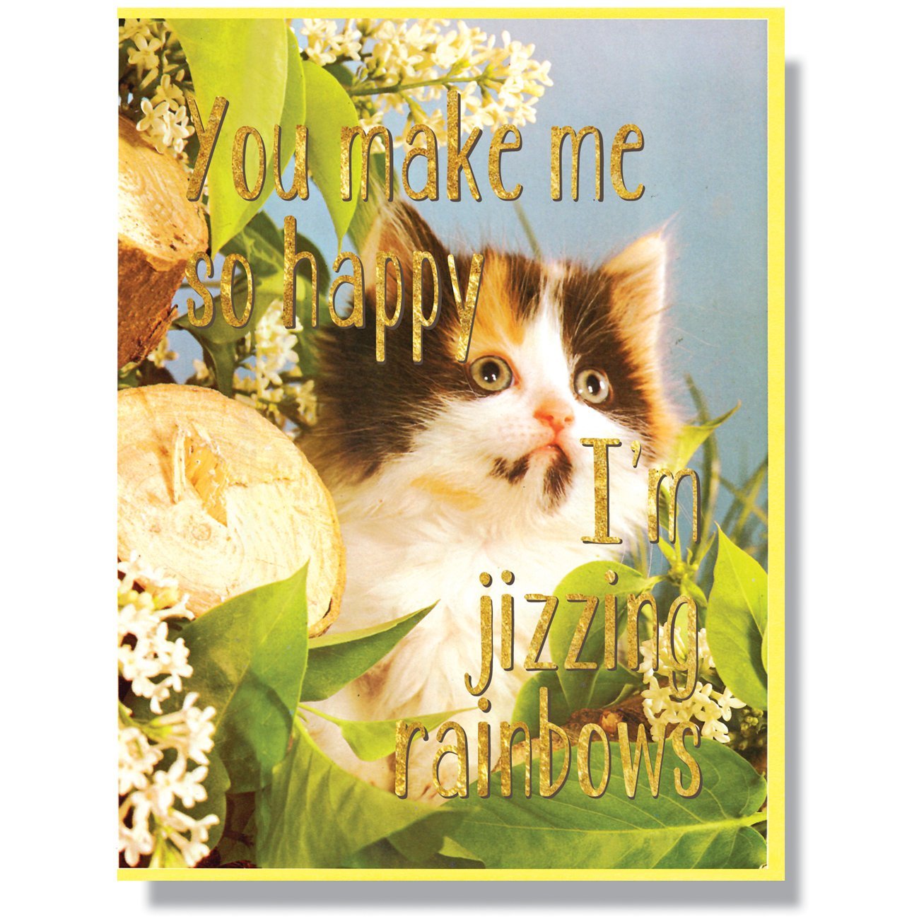 "You make me so happy I'm jizzing rainbows" Note Card