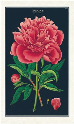 Botanica - Peony Tea Towel