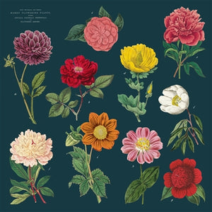 Botanica Vintage Napkins