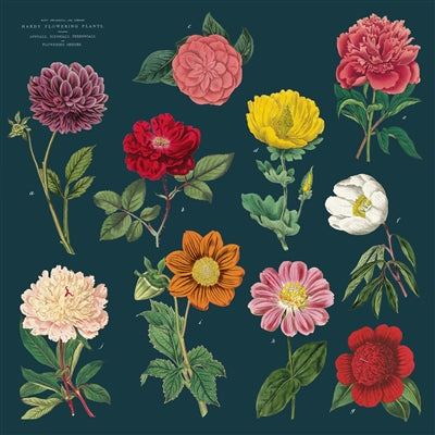 Botanica Vintage Napkins