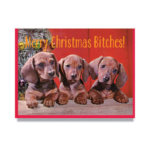 Smitten Kitten: "Merry Christmas Bitches" Boxed Holiday Cards
