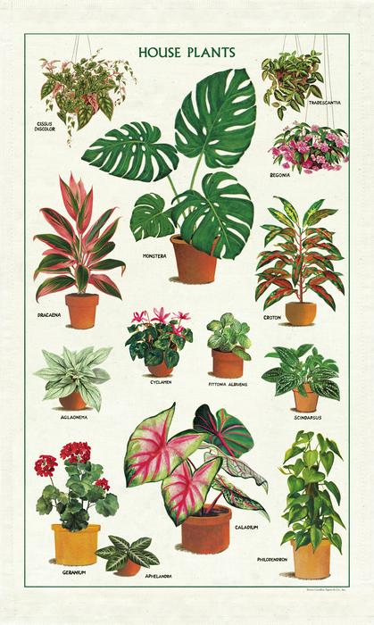 Houseplants Tea Towel